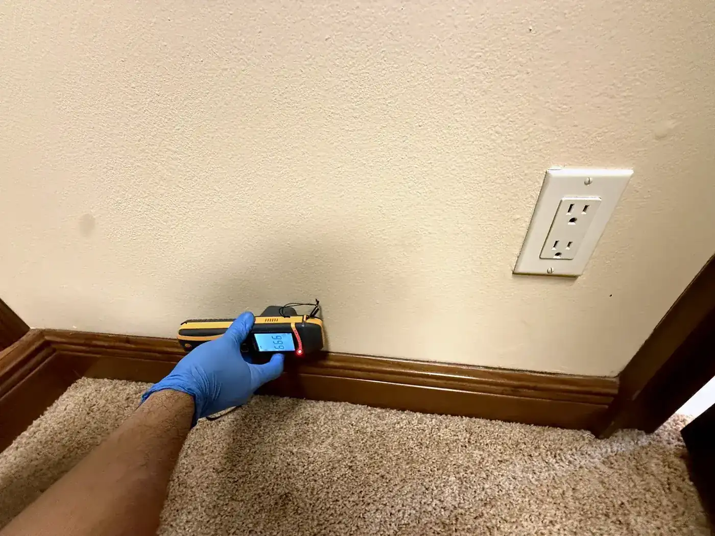 Gloved hand holding a moisture meter against a wall at the baseboard during a residential mold assessment