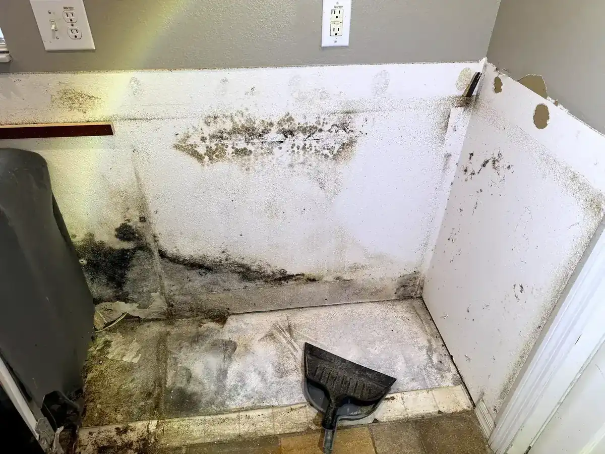 Mold growth on drywall in a laundry-room corner, the kind of localized area a limited-scope inspection targets