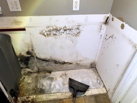 Mold growth on drywall in a laundry-room corner found during a limited-scope mold inspection